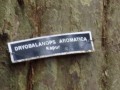 Tn 0944 DSC00119